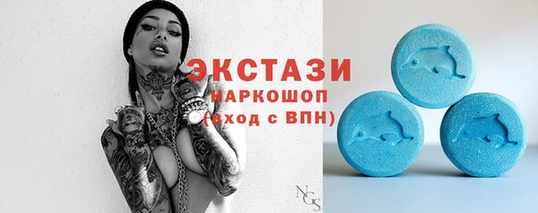 стаф Верея