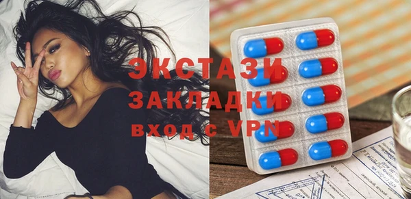 хмурый Магас