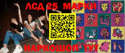 стафф Дубна